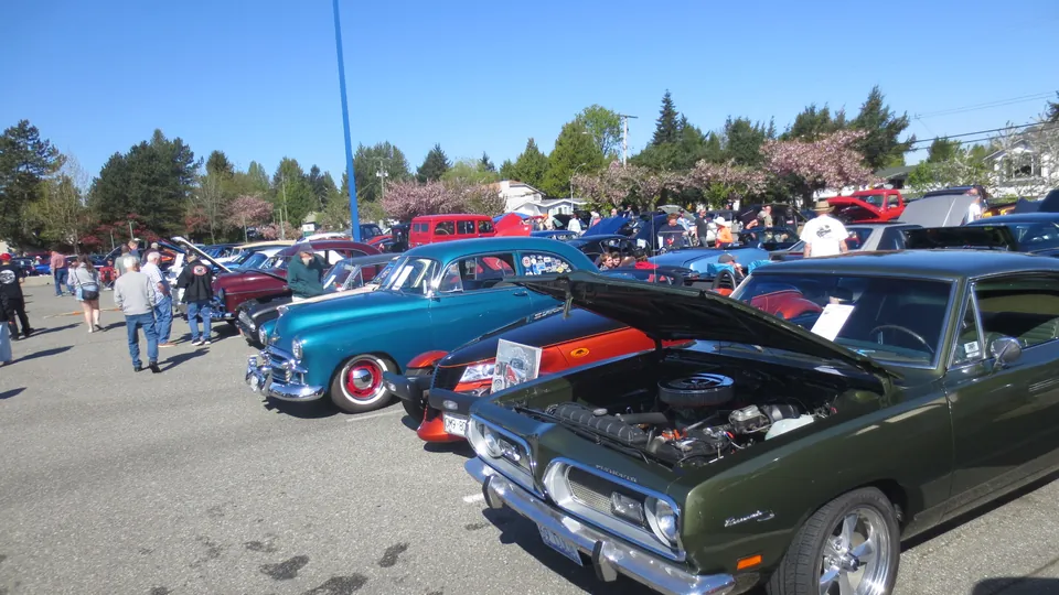 A classic car parked on the show field at the Country Car Show